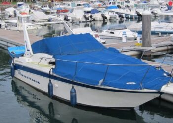 Setor de amarração em marinas cresce após a pandemia