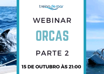 Segunda Parte do Webinar Orcas reúne especialistas para debater comportamento das orcas