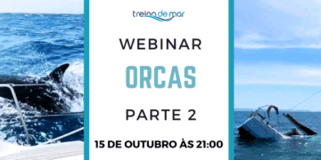 Segunda Parte do Webinar Orcas reúne especialistas para debater comportamento das orcas