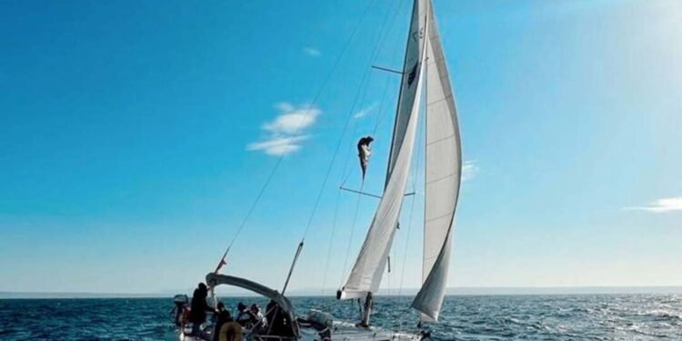 Treino do Mar compra 40% da Sea Wings