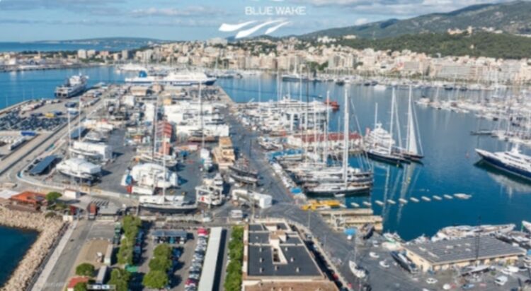 Monaco Yacht Show distingue dois projetos de sustentabilidade do IPM-IMG Marine Group