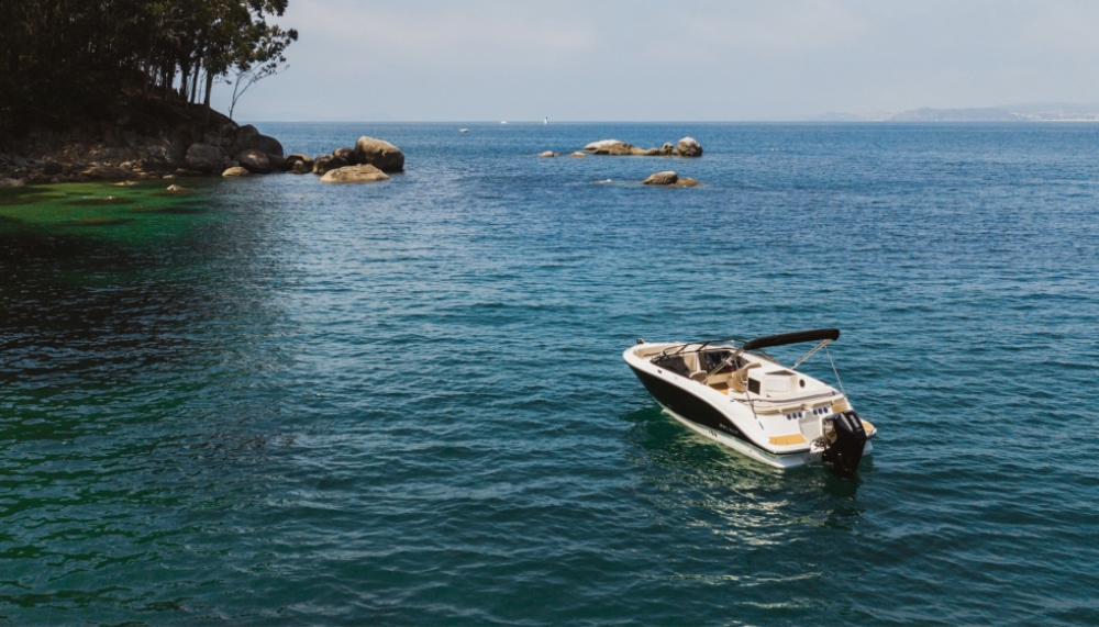 Bayliner v22i